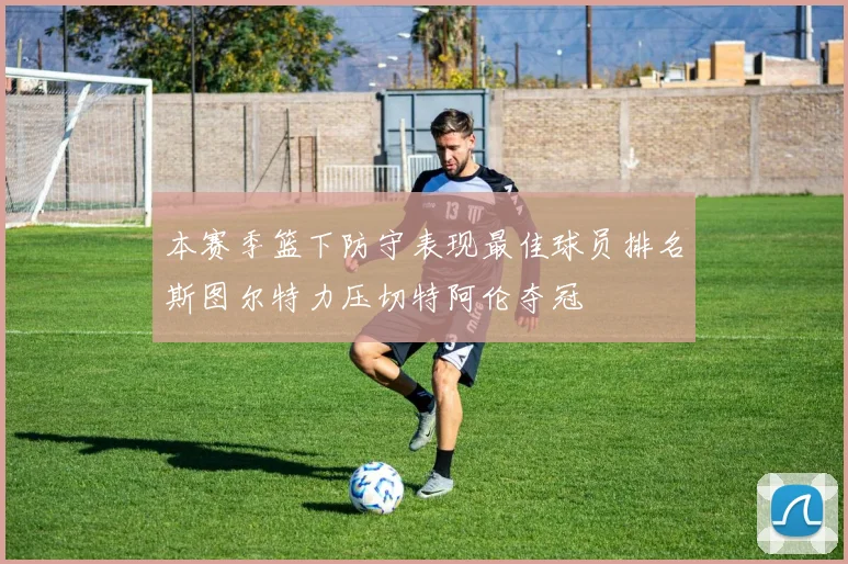 本赛季篮下防守表现最佳球员排名斯图尔特力压切特阿伦夺冠